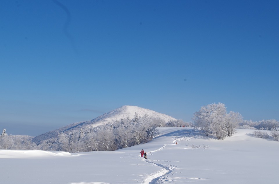 mmexport1517747854639