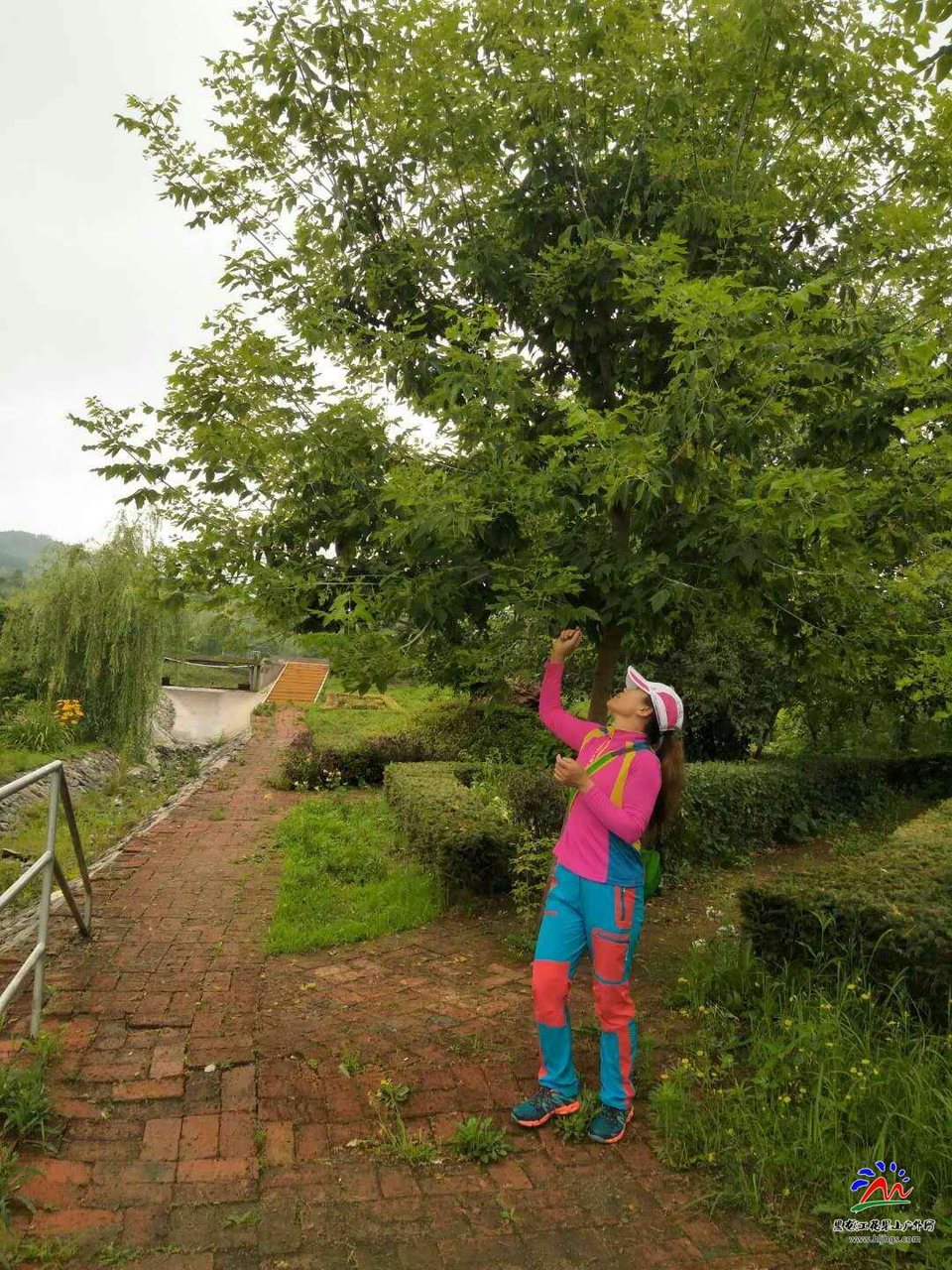 52XjrENyoDPh-Xdbh_y0IN5VCGG4-M9uh68axFXRZ_5_qa3Cto4xi38dmUBZ9xe2