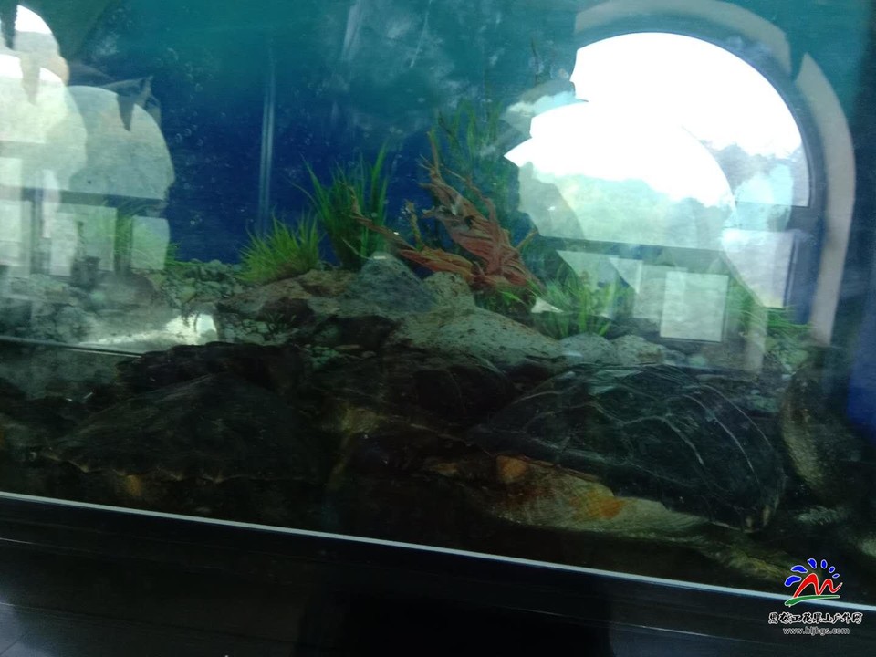 I2wS7N3DcFiij6aWfFbHs2WWOpPVN8K3yVj85cPz2xFHk-jp3poNrsViDZuqfn6D