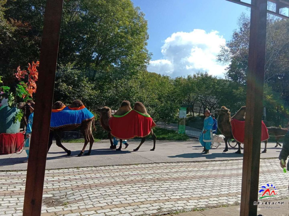 hjFB-ZxiMT7Cr3iOS0lPQvPjxGA_GkXUcXH52c07-zZ7a83kIv7Git101CtWZaCv