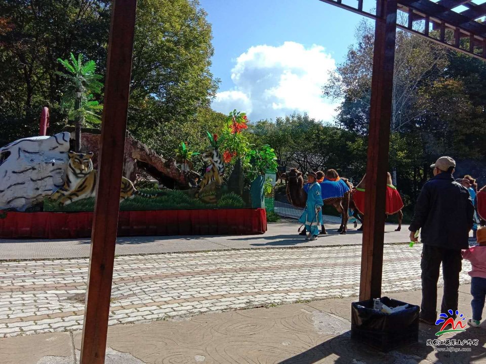 HbG2jR4meSeKTZ1YXk5d-yDSgAB3OrasM7IbYgTdwuSPFZF0f2GzRL79AwtWLTAr