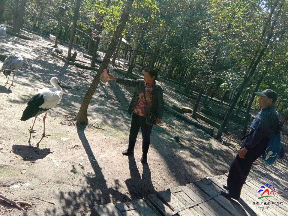 2kaIy-yedCoClsHOmMQAKXeJSU2nu7J7AEqdpPT5C-EMT73Q_iSurlF_oFGJsbfR