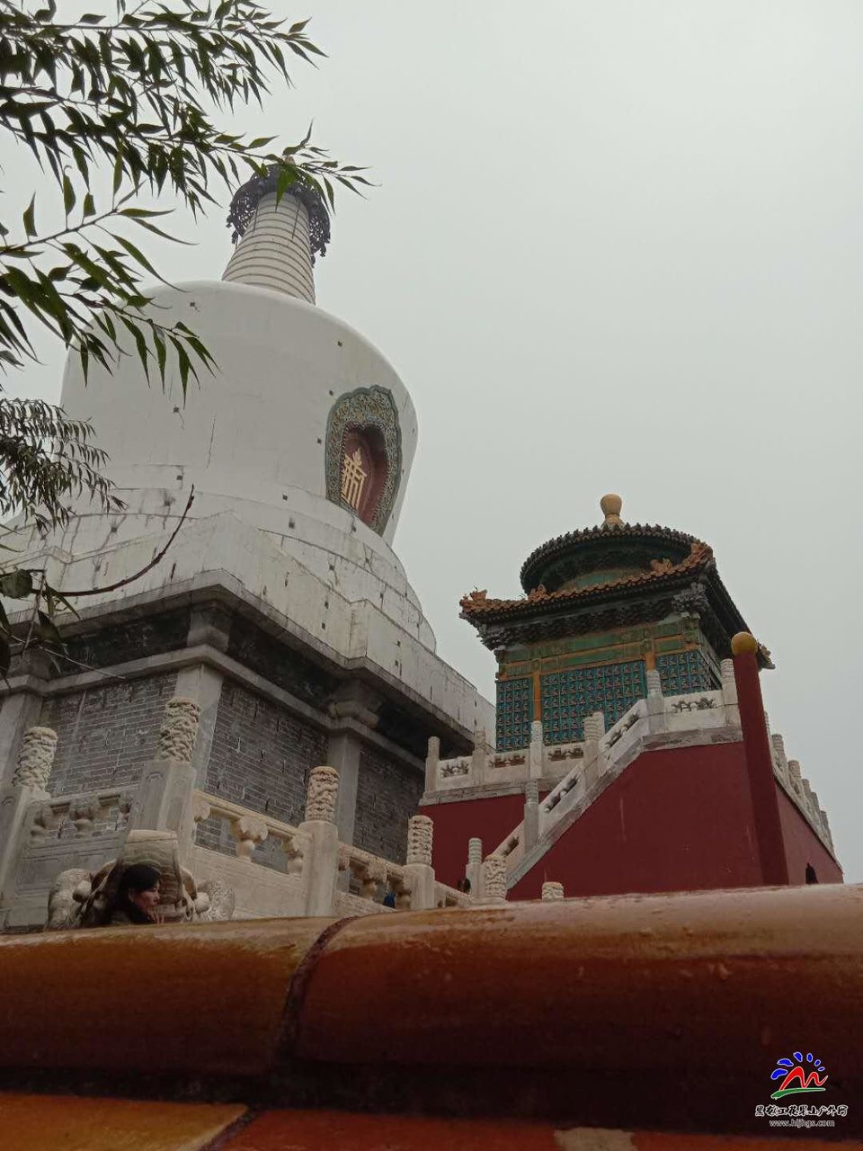 ytJb3LxTTVP7leWtLZ6VEJ3G86RqGDlw2zhuLOZLrDLHy86aSO4cmBwKwOlKg8e1