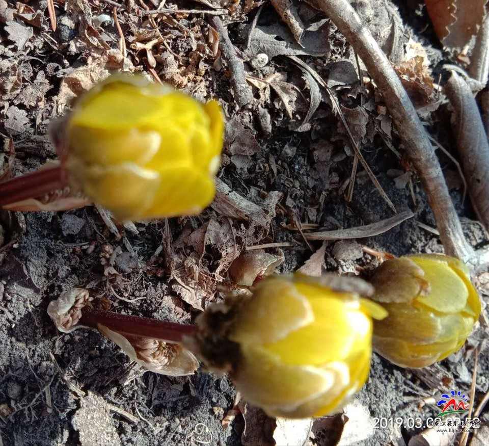 OSvdxF4872kbsm7-iouifpMAP02h11bURxBPHj9dh-P8GiH36udgCHwpGnN-qV6H