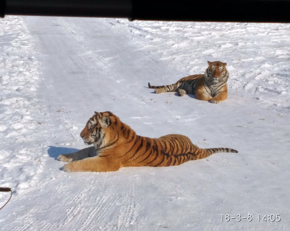 IMG_20180308_140530_HDR_mh1520500442617