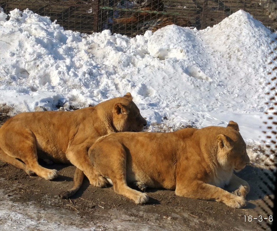 IMG_20180308_141204_HDR_mh1520500423873