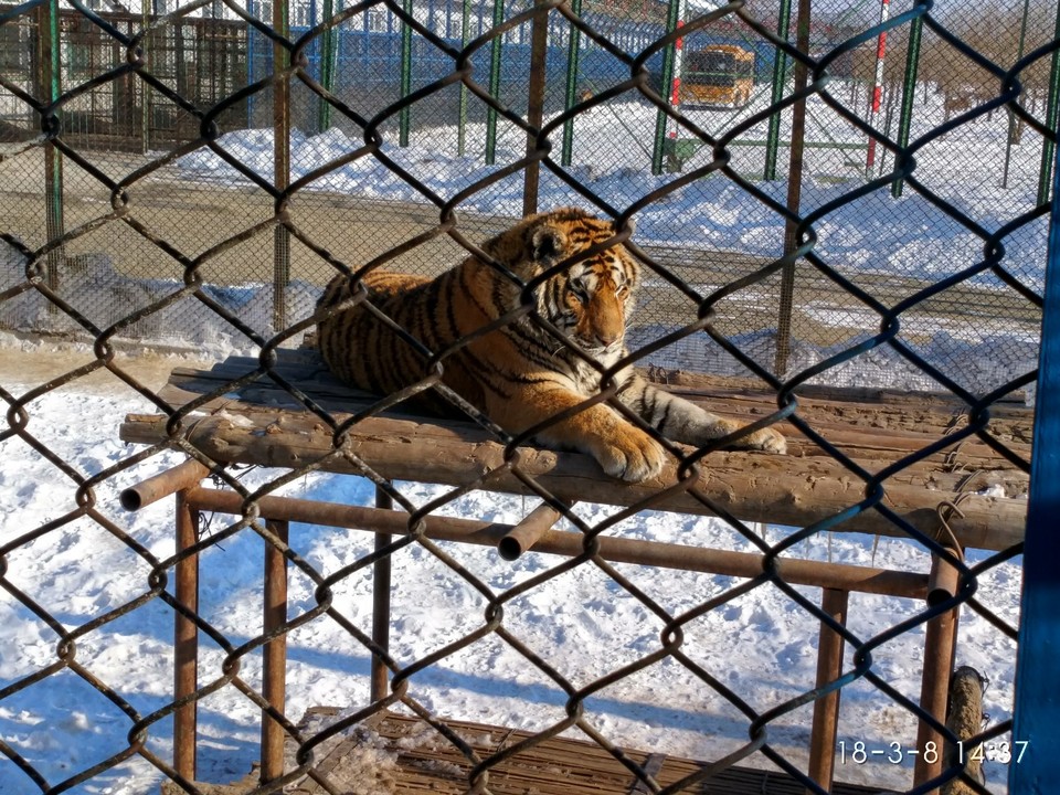 IMG_20180308_143752_HDR