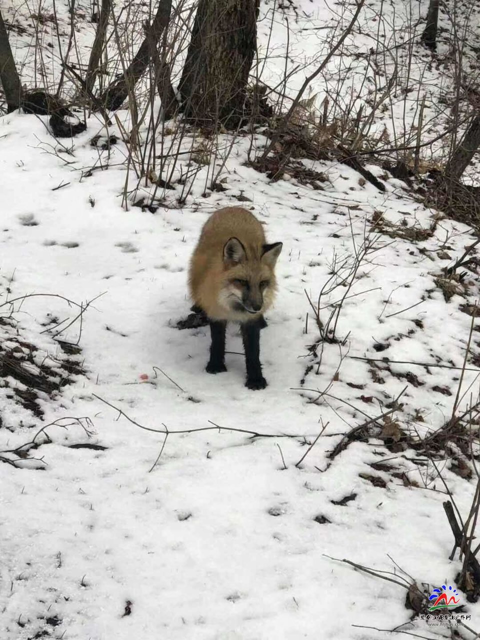 zME0DuHy4Wii076XG0d1N6T-_I3qDRlMtvuOaSn05DX16q3exjI5HbH-WMUkzl6r