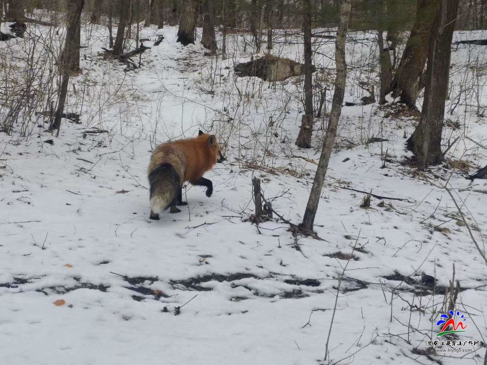 VN1cT3zbevqGNRwGuiRi4to1ptp8g1POf6rzcE__oa5OAX-GkLV6aaCIQZLe27qd