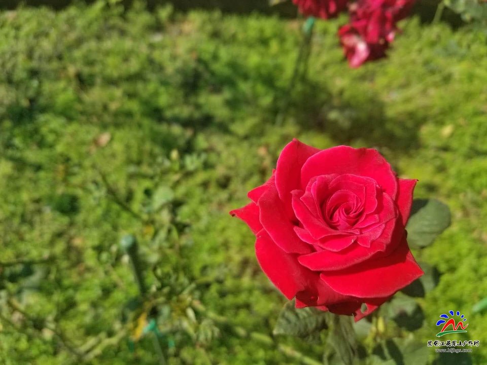 0tRcCAf5b3z2ZiwprxcbznnfpkvBse6k3Fm1dRuMOVFWVRqkZNPKsU845XIl6E8U