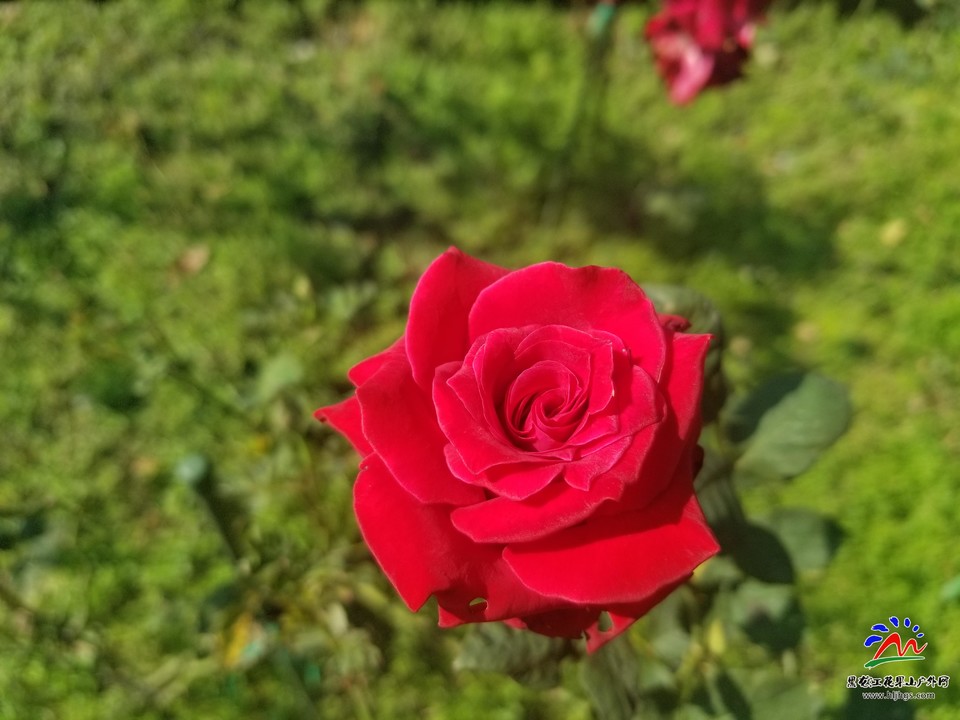 zcQpWDi7d24GIO3NJT8t48kywBiBYZLKUdviZ1EHfwvv9APw0hzr2EcMNrUpdbxn