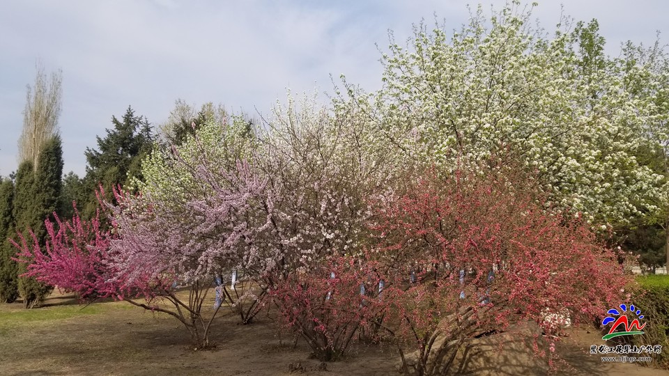 TcVRVGcMcWSM4r5M9toNS1487YbRhjSobxQiLVcmivDgLxcSzdI5QAhvqPbdshaQ