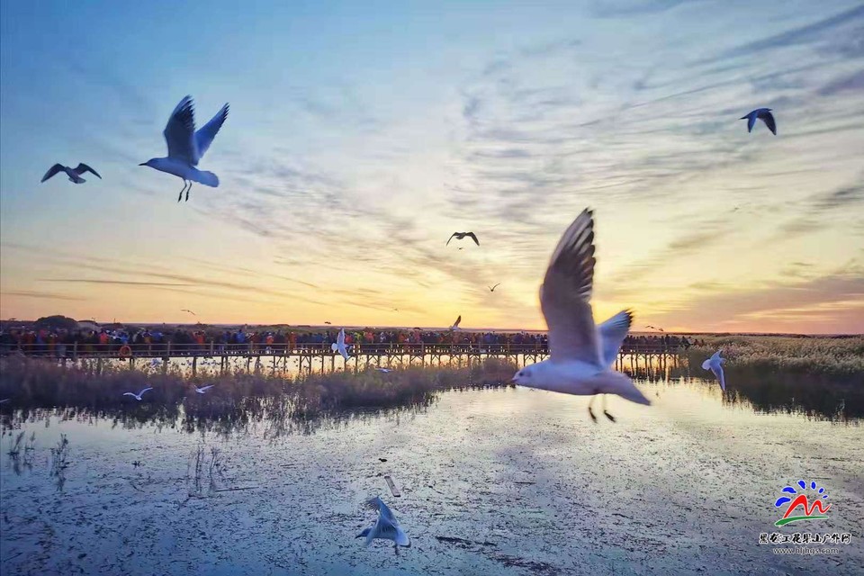 mowm0E68jDYcL0zJ4keUfc_0u71lxCfJtnhf5hExUEwYRedMUK7xJYS_6vmeiWTp