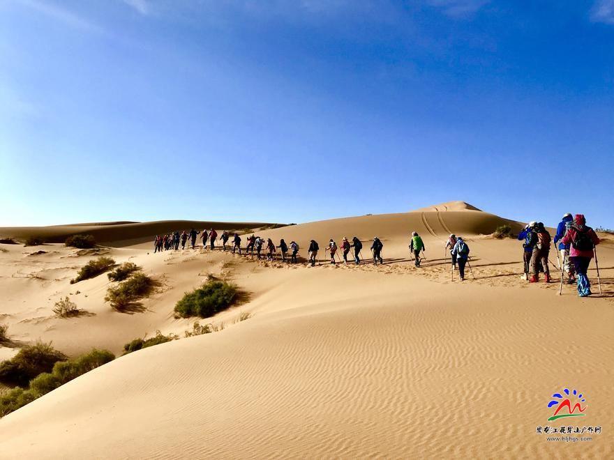 Ti1x1ro-PvOQYihBocVtr8BE0fZFW-Mu9n3RdU4nXhUNCQOEDBkoeBkC9kbldmtN