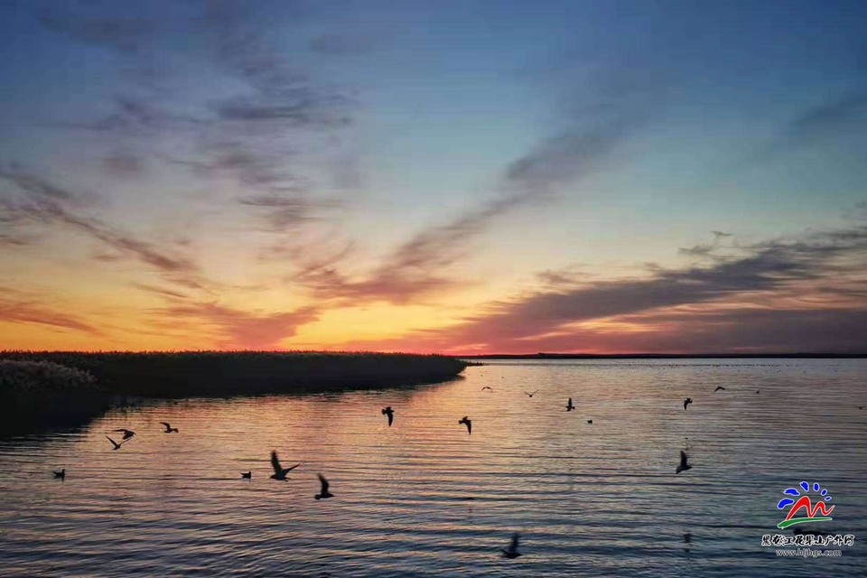 HiFFnQBbp0ufh69OoMeSqkTG9FQfi6yFoC6X57MIlnXLclgAqbZMAOarwfceUaYA