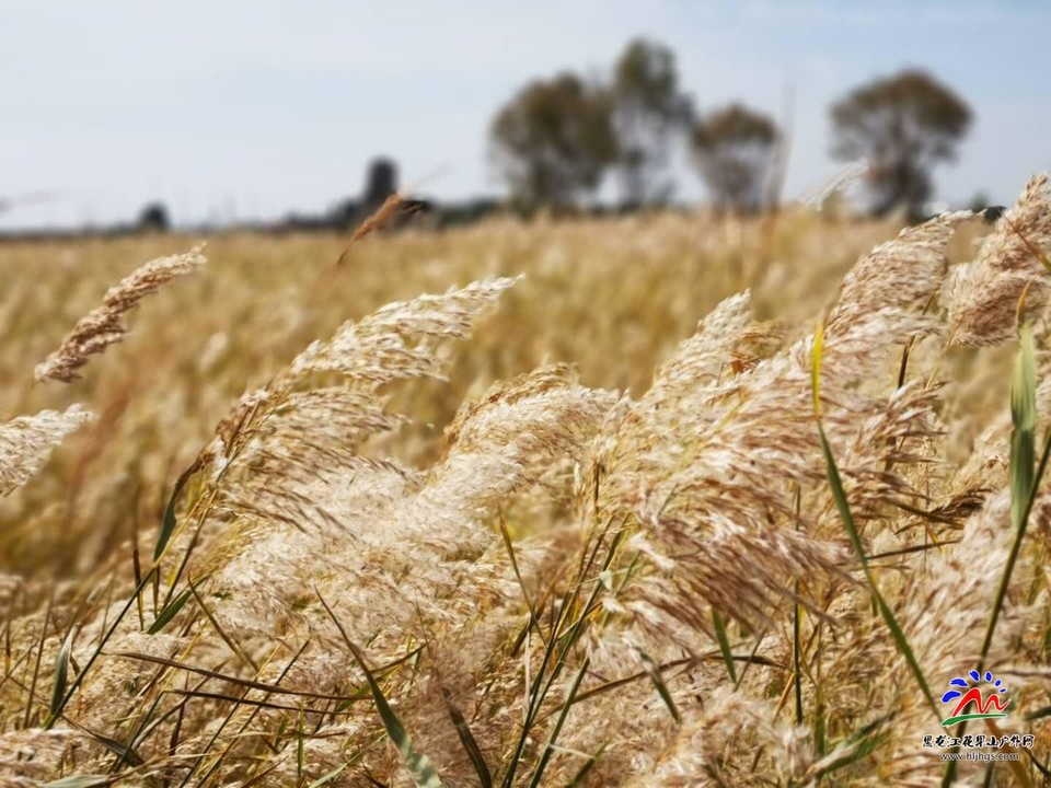 IkkuIhCg8Pn2-_KJR39ZbY2MH_sr4rOQMnQowtHeDCiVW4bQBcFq8QeFuWLT-7tB