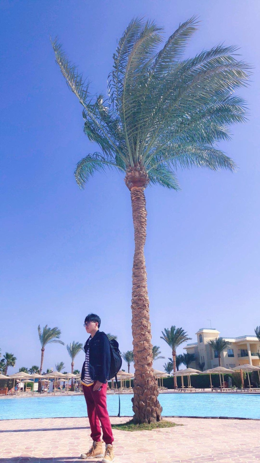 mmexport1517607300132