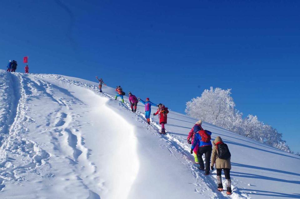 微信图片_20180206204224