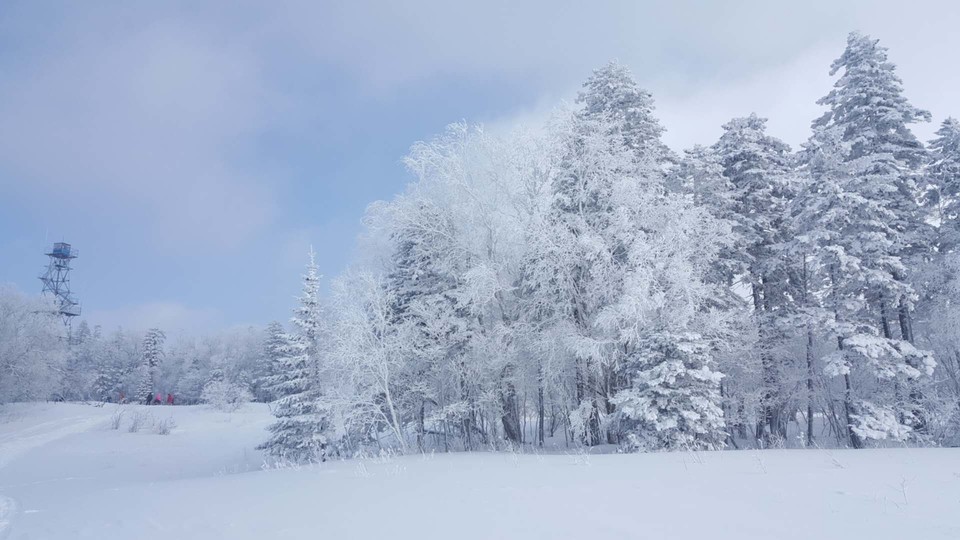 微信图片_20180206204251