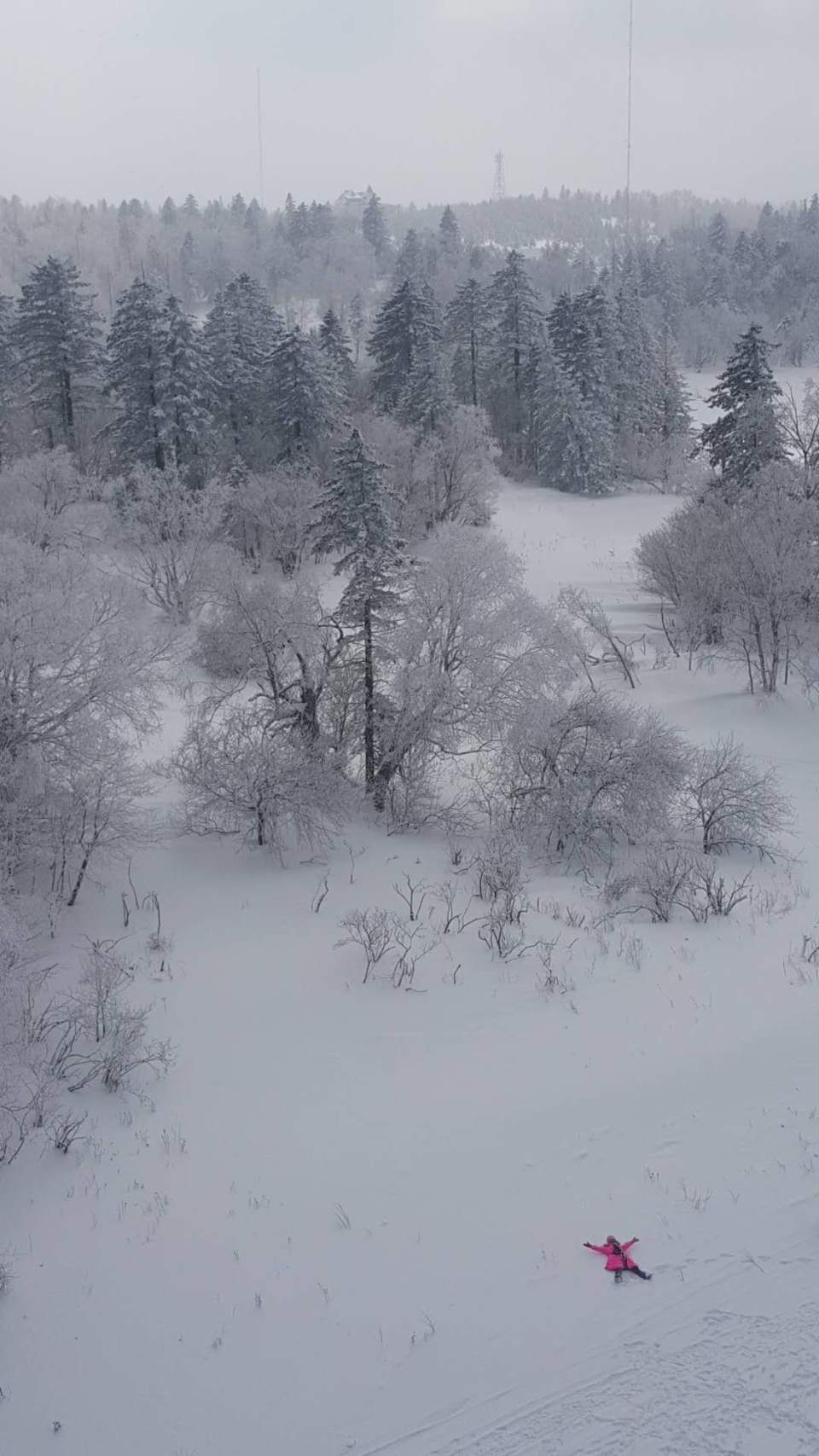 微信图片_20180206204254