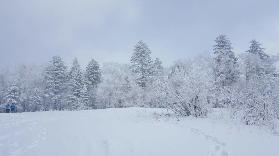 微信图片_20180206204302
