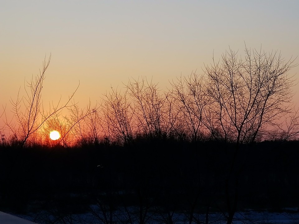 mmexport1519739381784