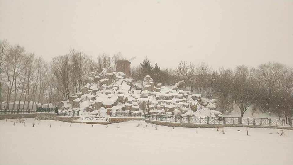 mmexport1520056766666