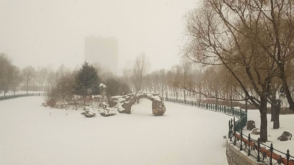 mmexport1520056750751