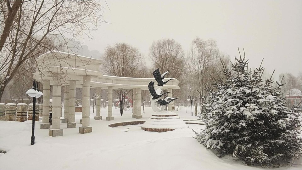 mmexport1520056744900