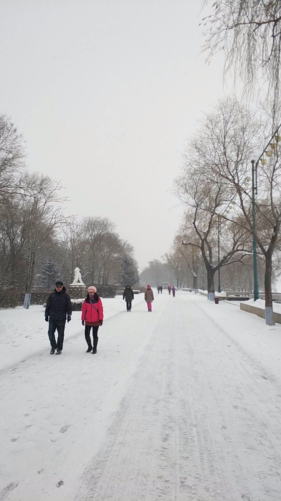 mmexport1520055834054