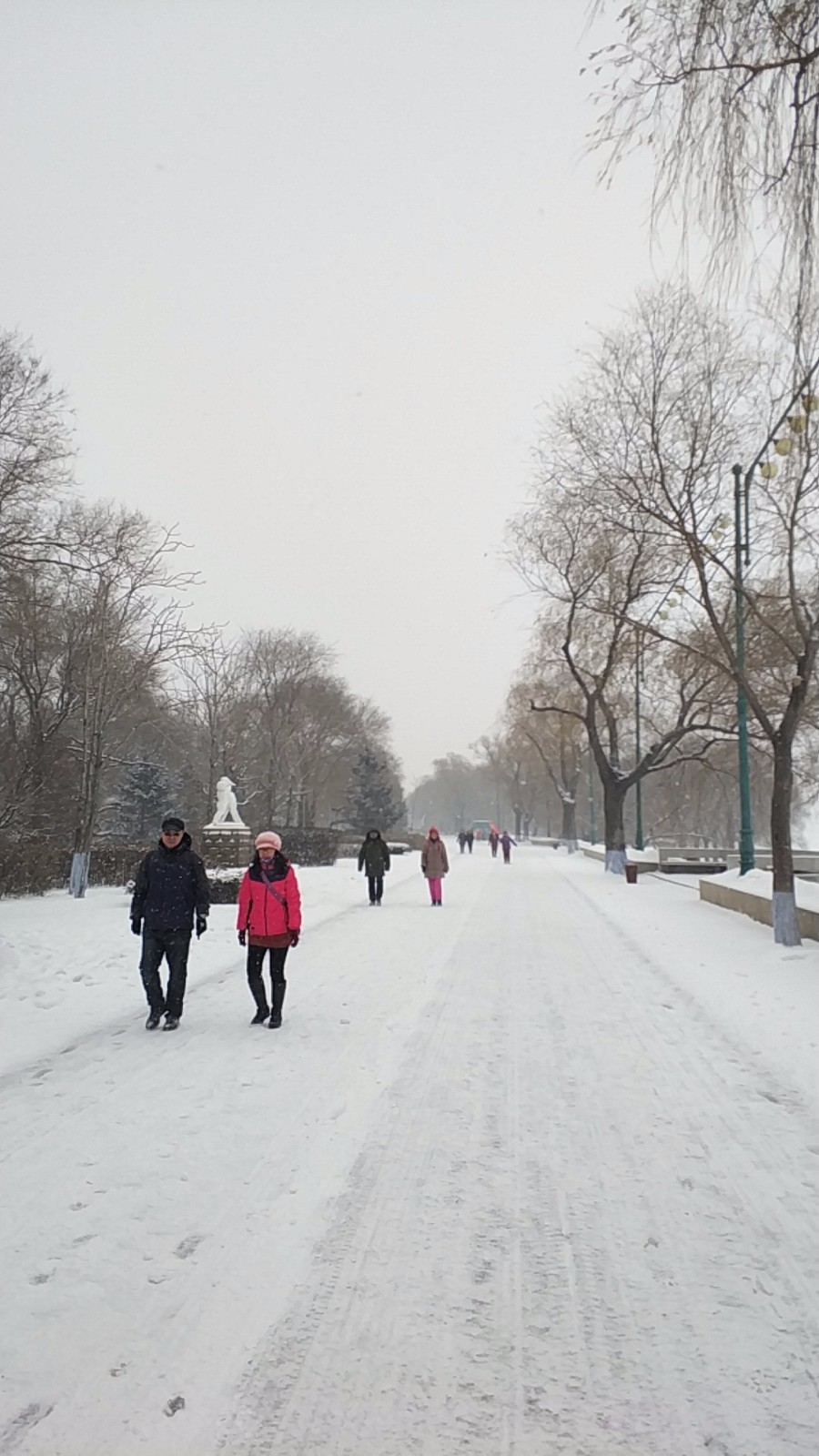 wx_camera_1520041826992