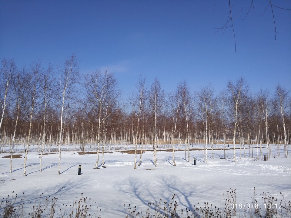 微信图片_20180308174508