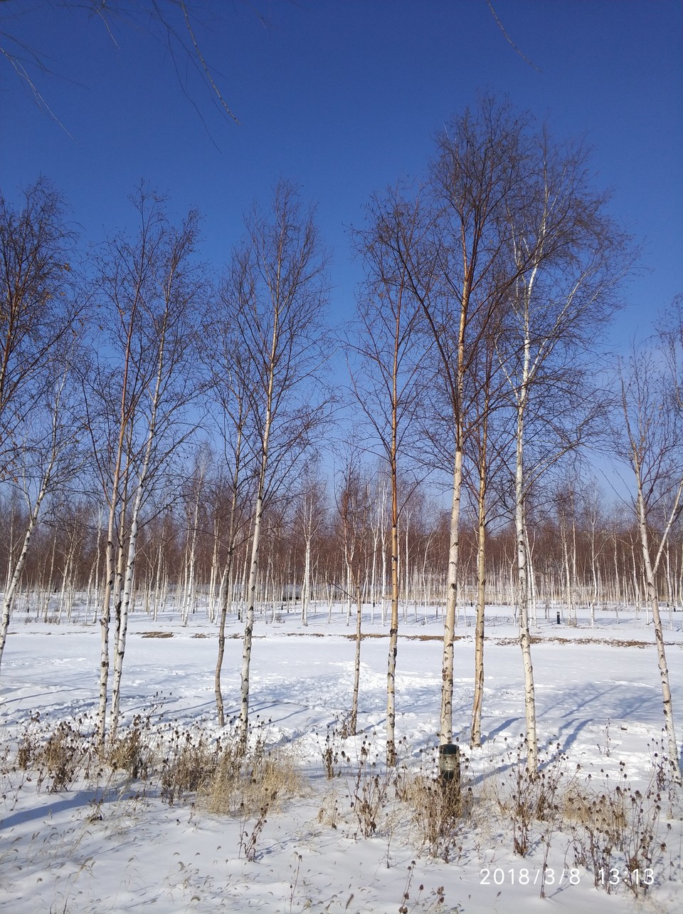 微信图片_20180308174520