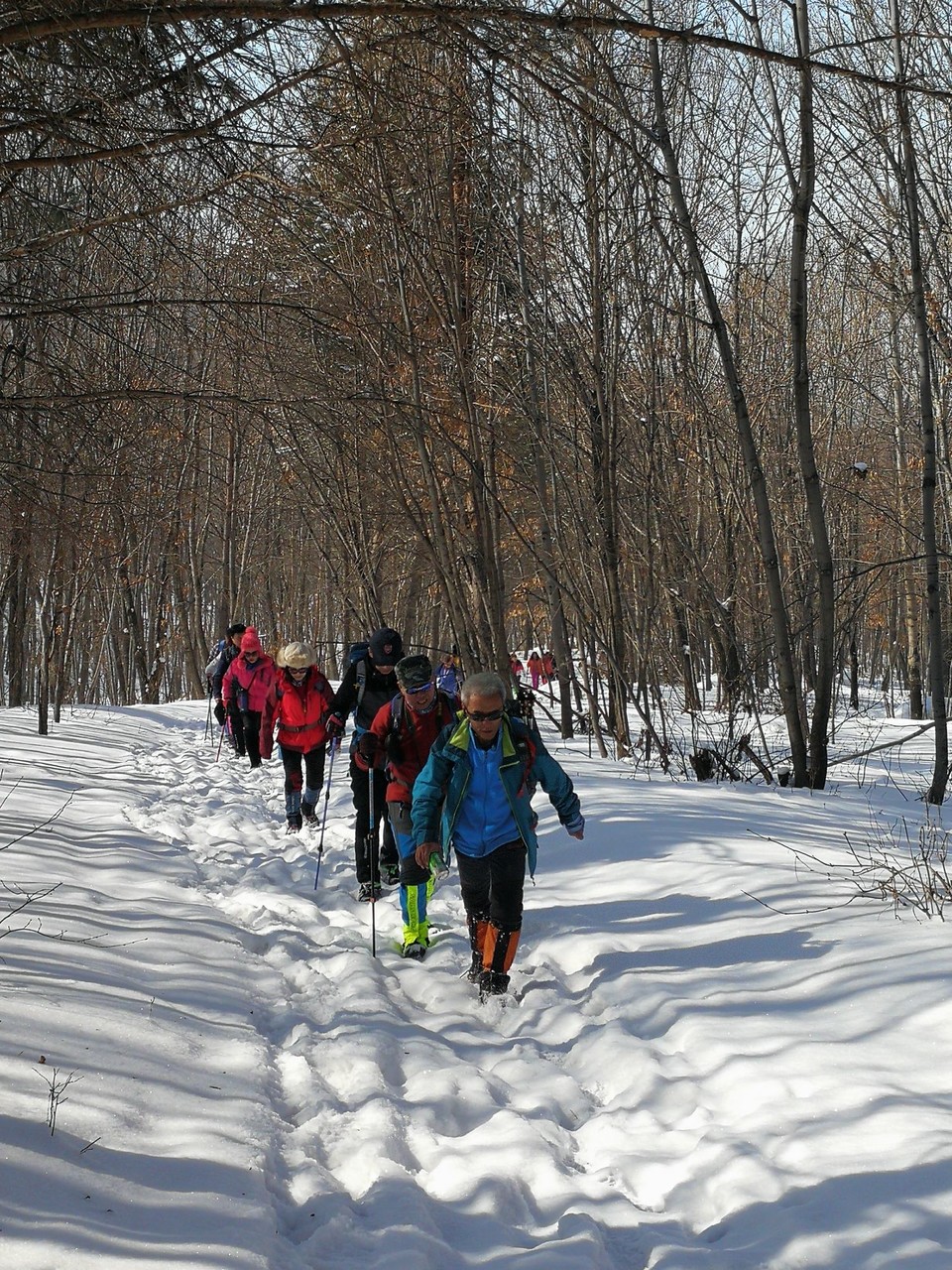 微信图片_20180311150835