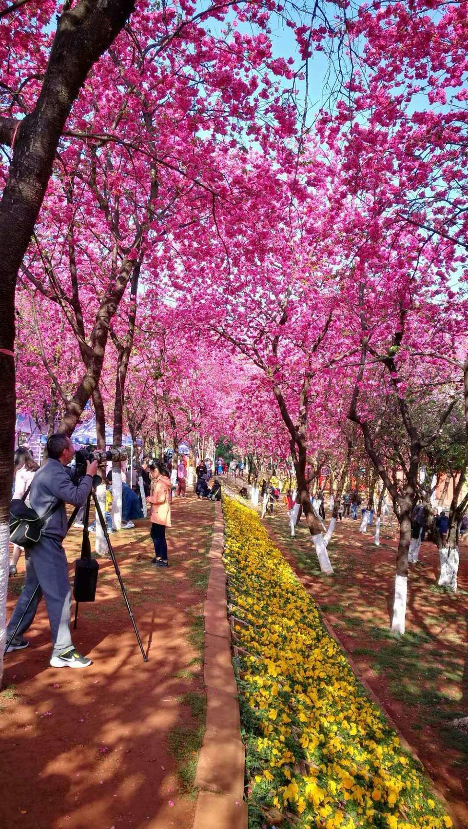 微信图片_20180319112631