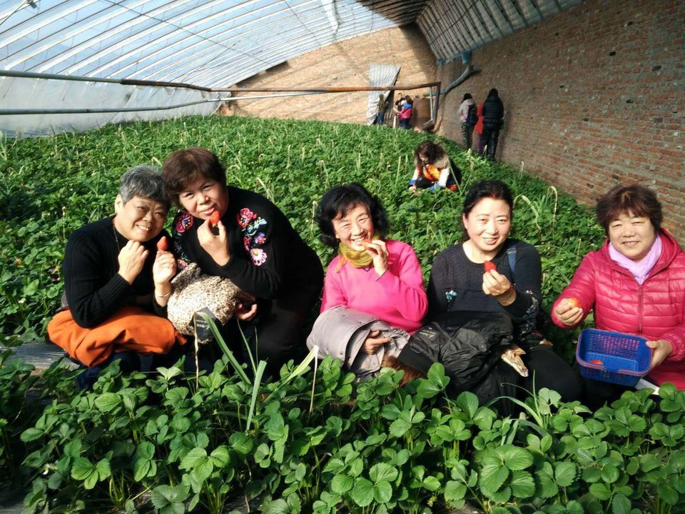 微信图片_20180319112635