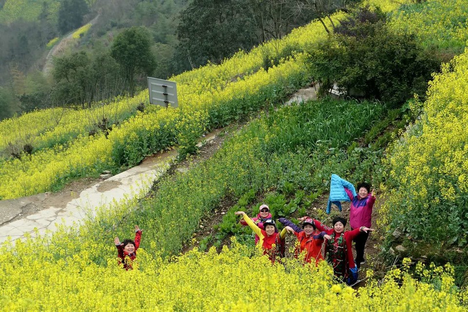 微信图片_20180320224807