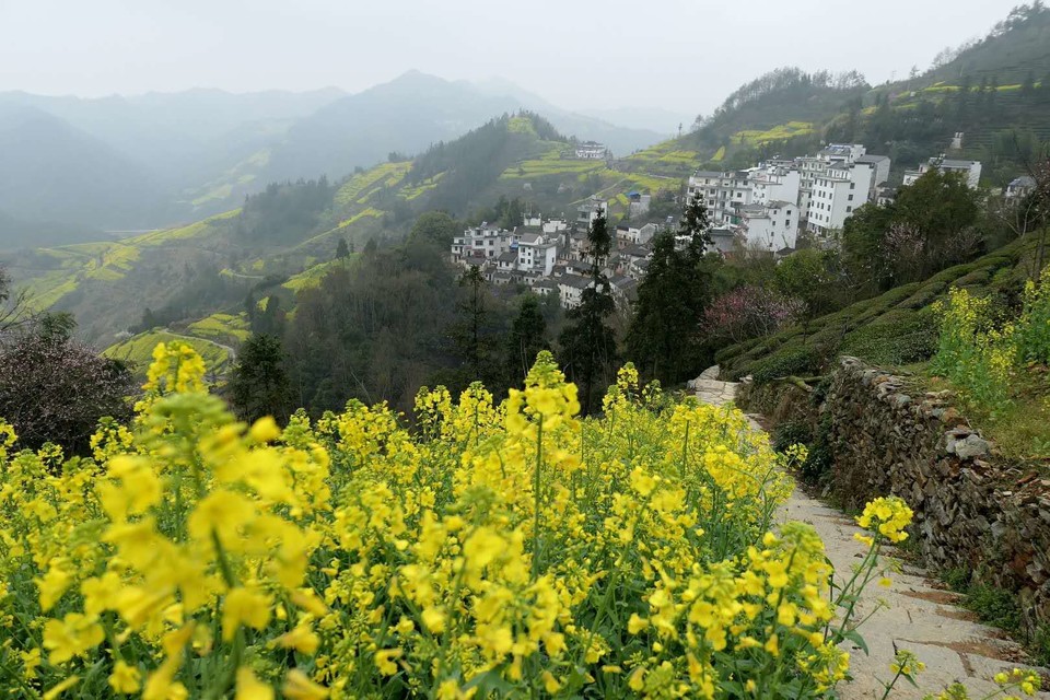 微信图片_20180320224833