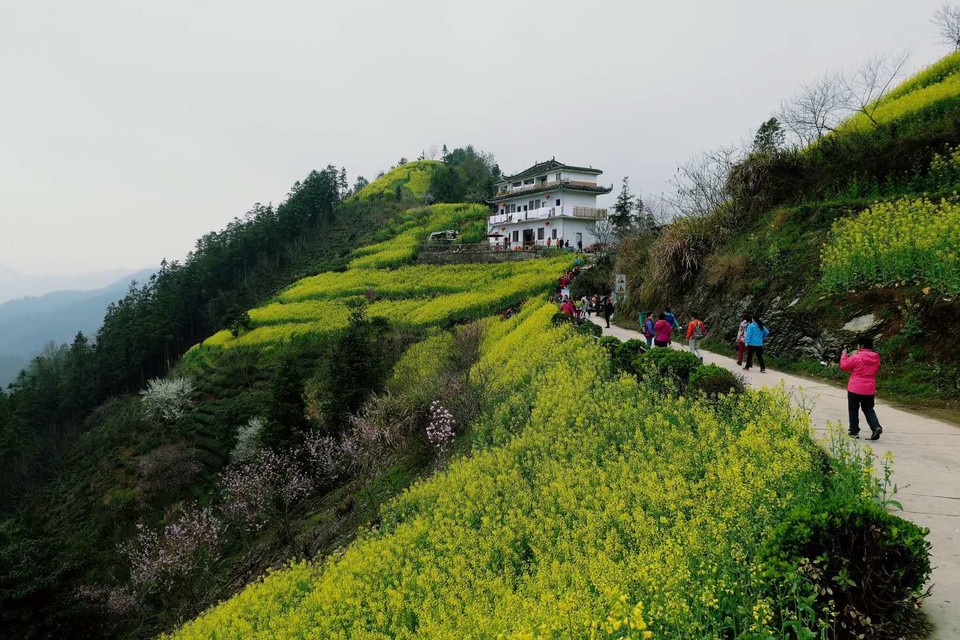 微信图片_20180320224836