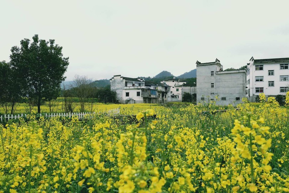 微信图片_20180320224857