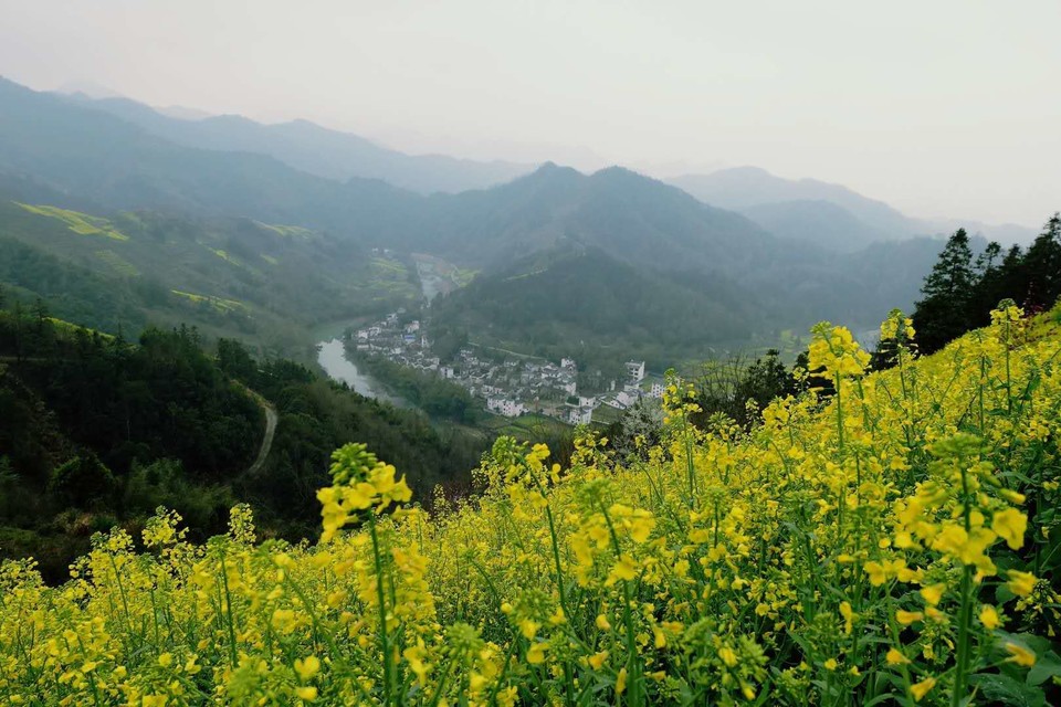 微信图片_20180320224959