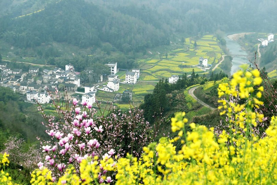 微信图片_20180320225009