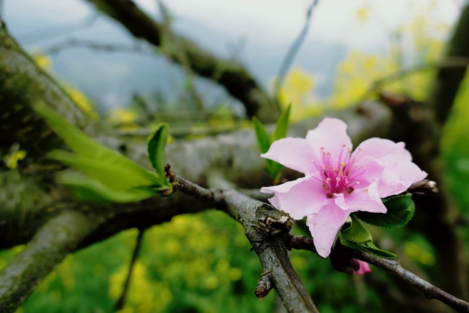 微信图片_20180320225014