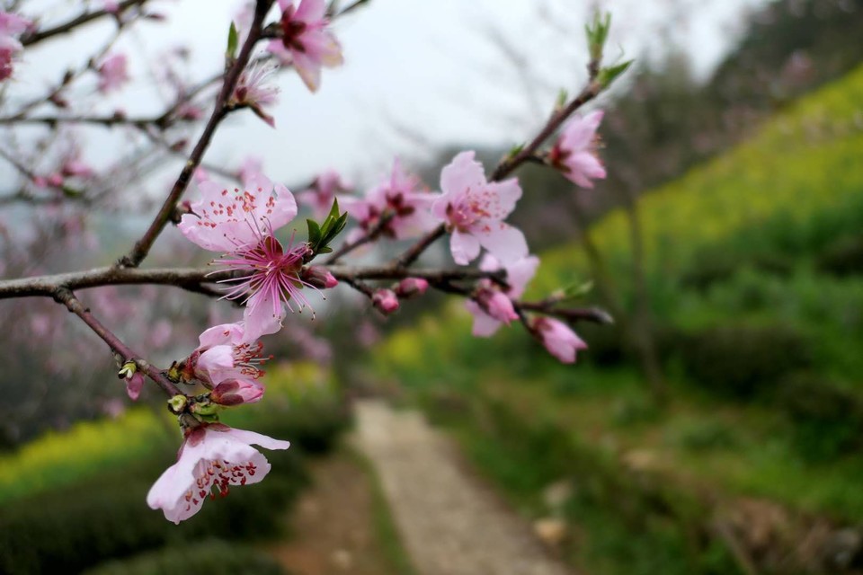 微信图片_20180320225022