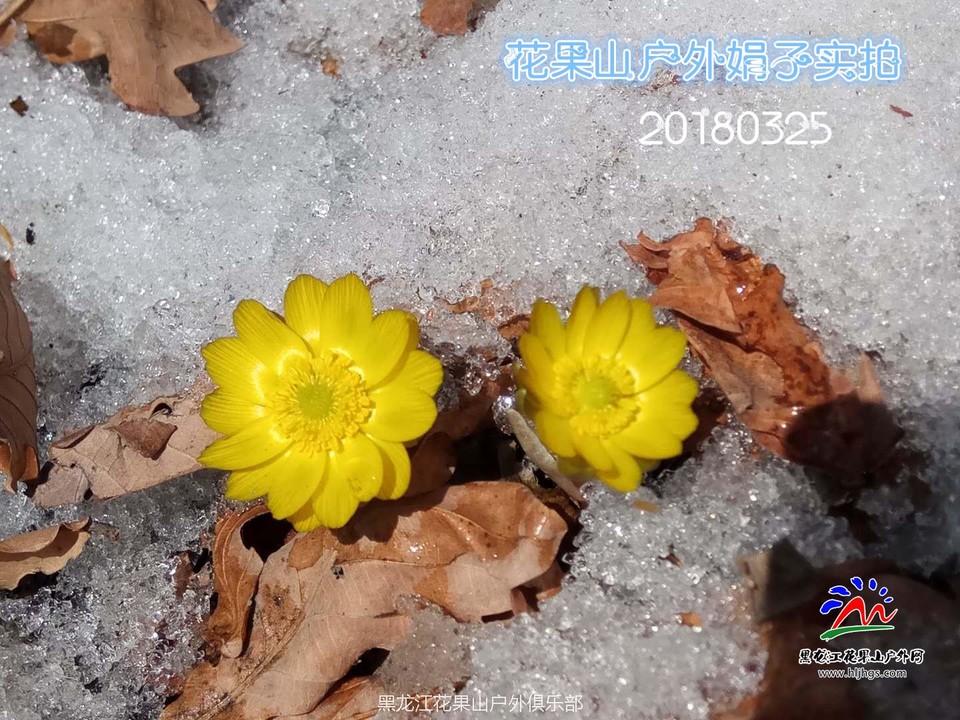 微信图片_20180325153502