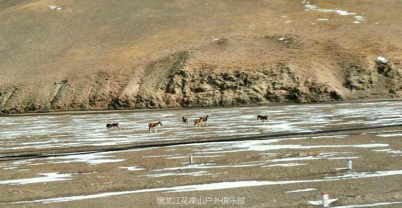 微信图片_20180325153600