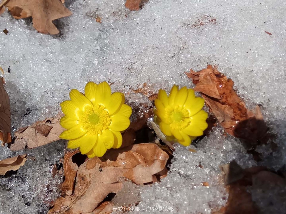 微信图片_20180325191406