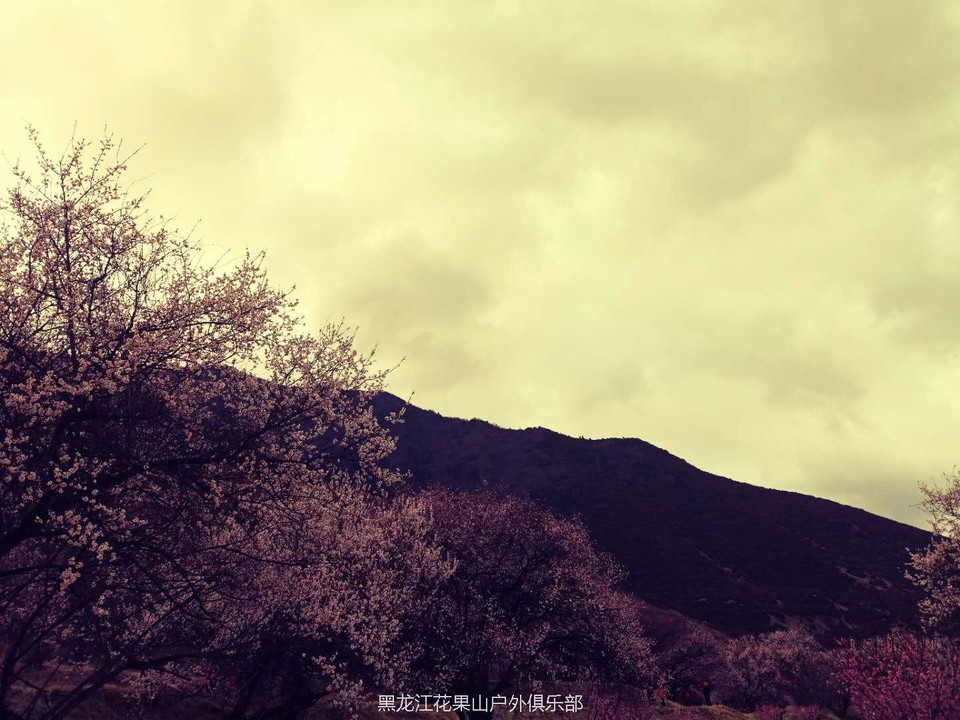 微信图片_20180325200216