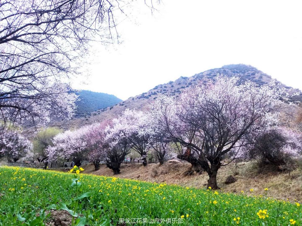 微信图片_20180325200222