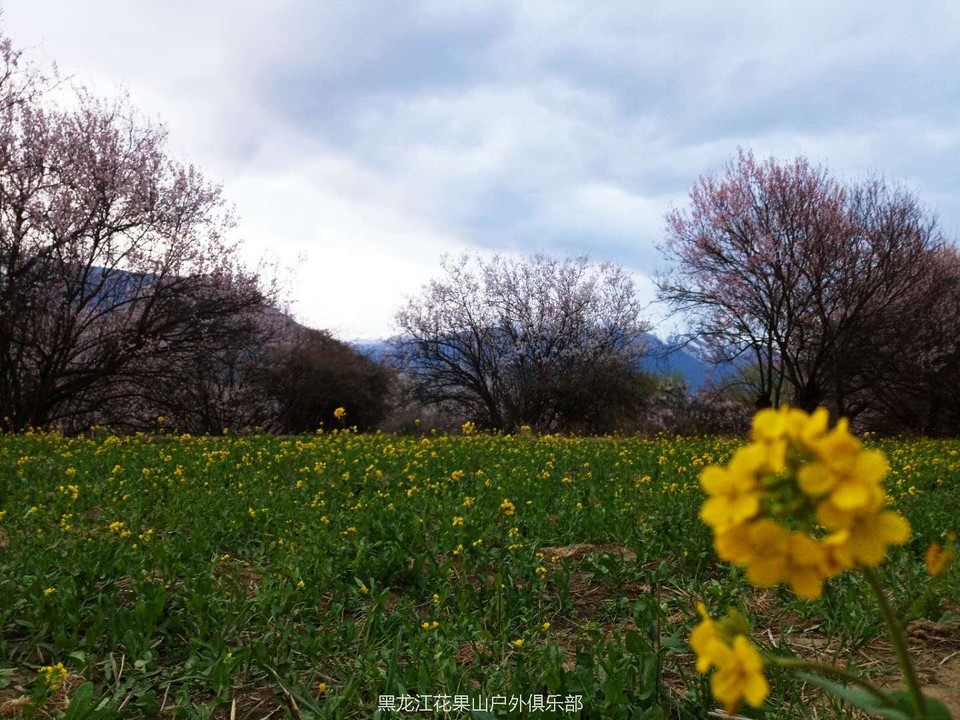 微信图片_20180325200246